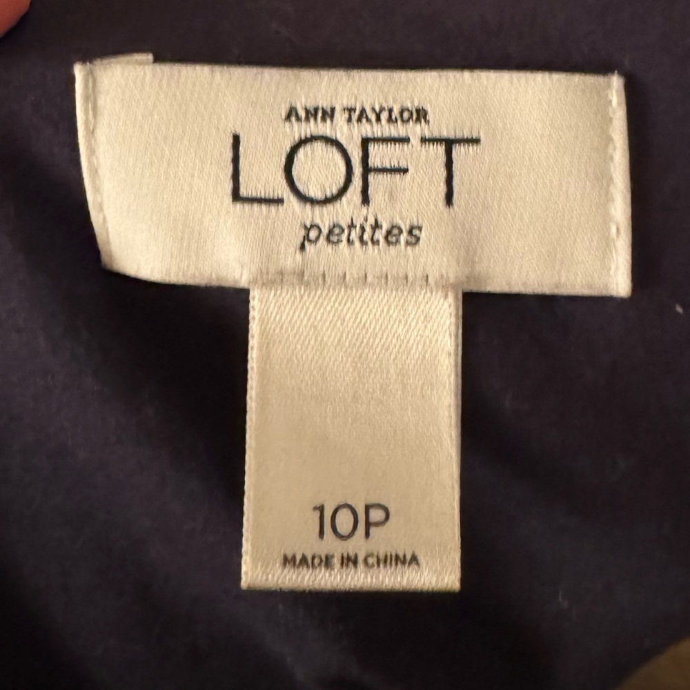 Ann Taylor Loft Petite Dress - Picture 3 of 5